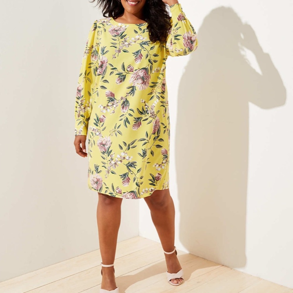 Loft Plus Floral Boatneck Shift Dress NWT